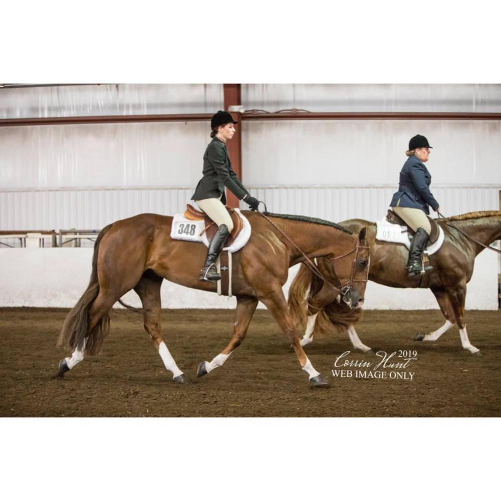 Meet your Posher, Shelby